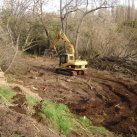 LSP- the beginning, 2008-11 Cambridge Tree Trust